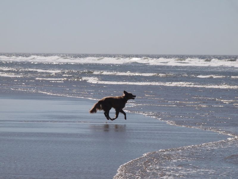 A Beach That Feels Like It Was Made Just for You