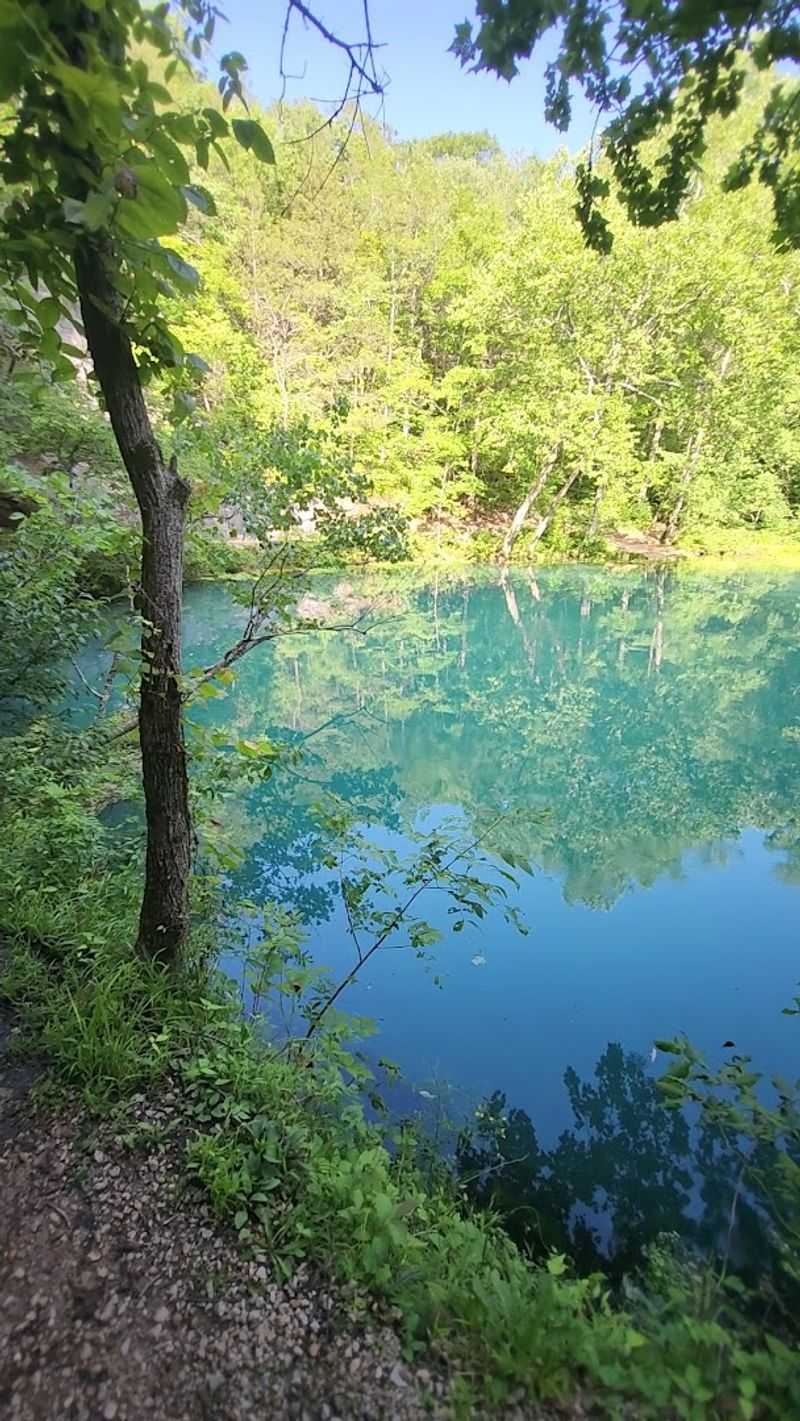 A Color So Vivid You Will Want to Photograph It Immediately