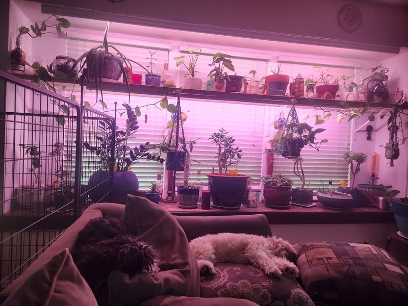 A Community Hub With Classes, Events, and Workshops
