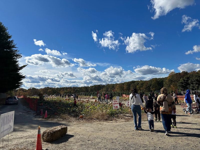 A Community Space That Has Earned Its Roots
