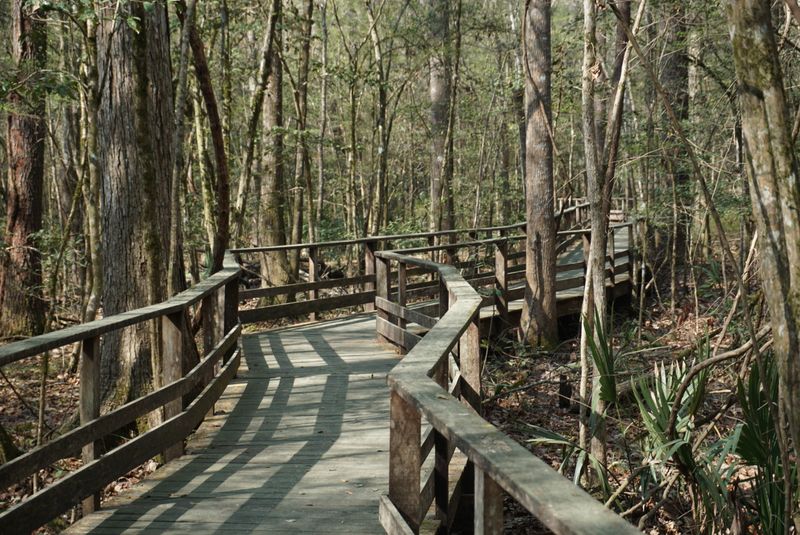 A Conservation Story Worth Knowing Before You Visit A Conservation Story Worth Knowing Before You Visit