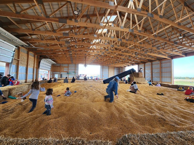 A Corn Pit That Steals the Whole Show A Corn Pit That Steals the Whole Show