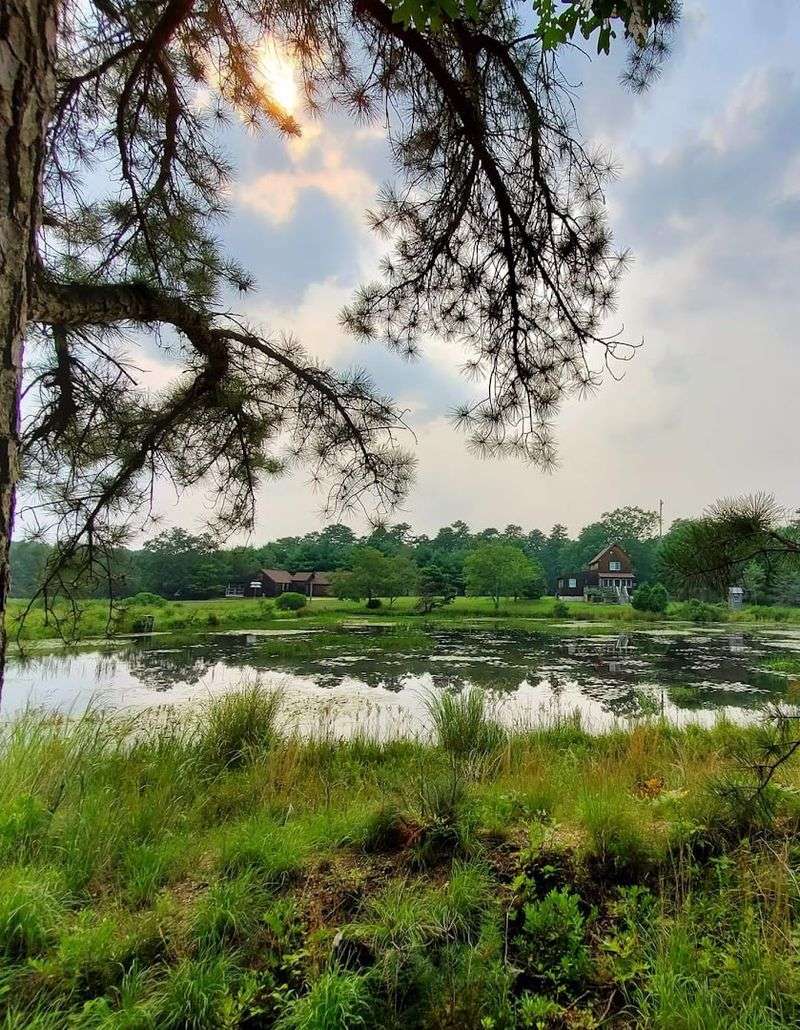 A County Park Disguised as Wilderness