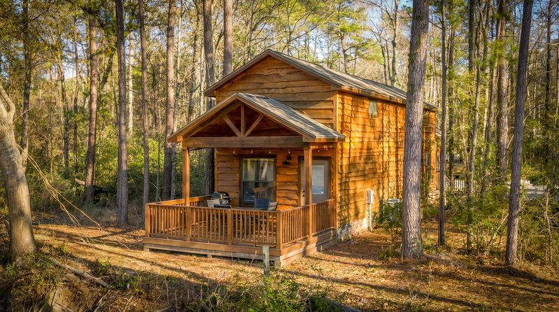 A Cozy Retreat Amongst the Pines