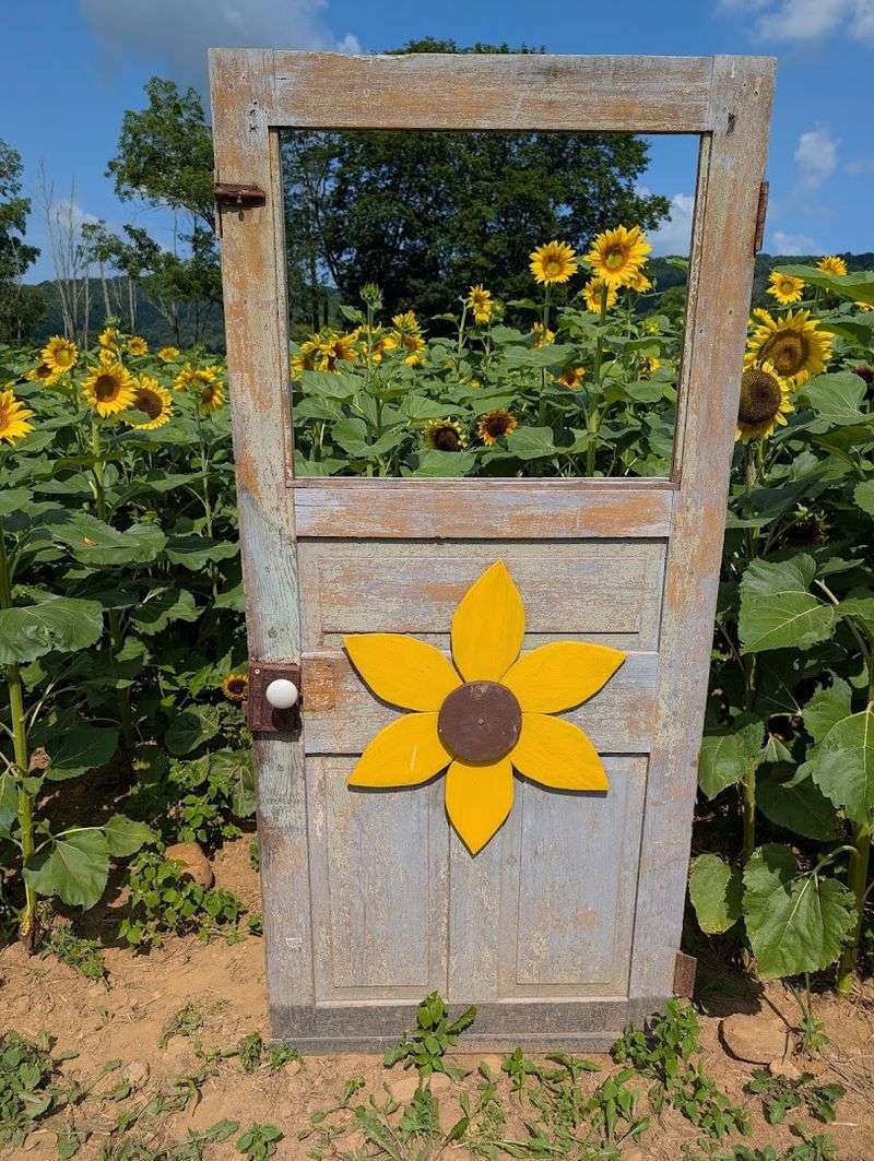 A Detour That Turns Into A Day You'll Never Forget A Detour That Turns Into A Day You'll Never Forget