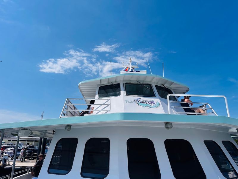 A Fleet Built for Ocean Wonders A Fleet Built for Ocean Wonders