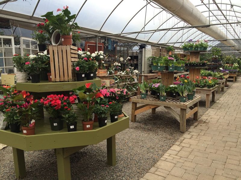 A Florist Studio Worth Writing Home About