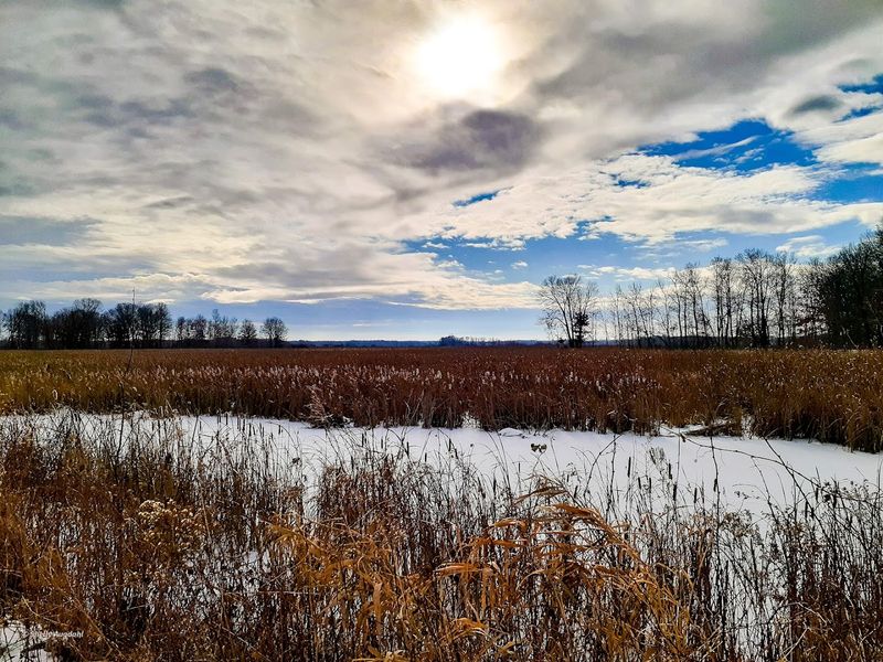 A Free, Uncrowded Escape That Most Locals Miss A Free, Uncrowded Escape That Most Locals Miss