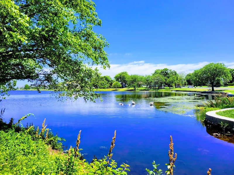 A Freshwater Lake Framed By Victorian Charm A Freshwater Lake Framed By Victorian Charm