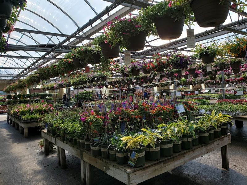 A Garden Center With Deep Minnesota Roots