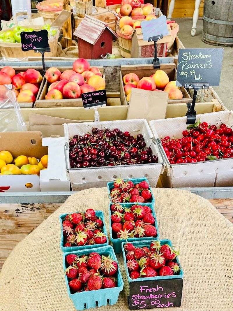 A Genuine Farm Stop Worth Adding to Your Road Trip A Genuine Farm Stop Worth Adding to Your Road Trip
