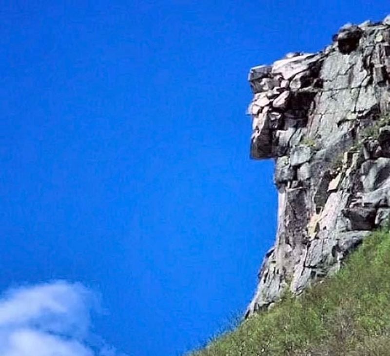 A Granite Giant With a Very Complicated Health History A Granite Giant With a Very Complicated Health History