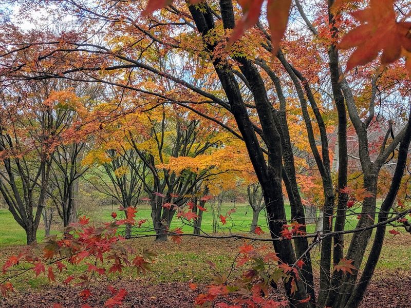 A Green Sanctuary Hidden In Monmouth County A Green Sanctuary Hidden In Monmouth County