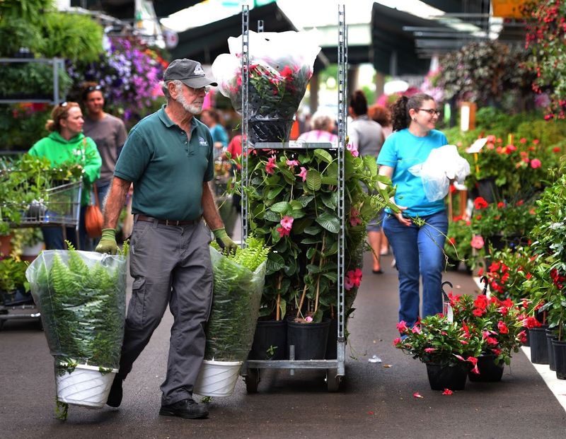 A Greenhouse Recognized for Its Agricultural Impact A Greenhouse Recognized for Its Agricultural Impact