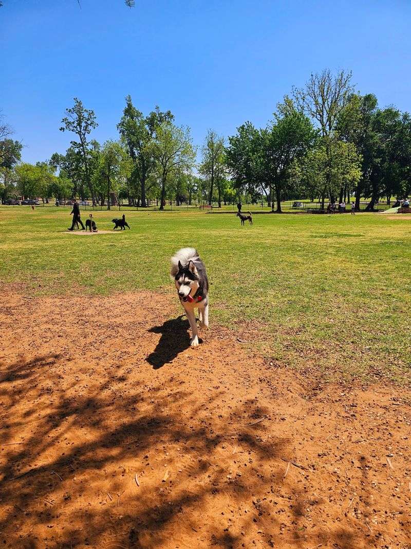 A Handy Stop For Families With Dogs