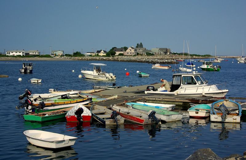 A Harbor Alive with Ocean Stories