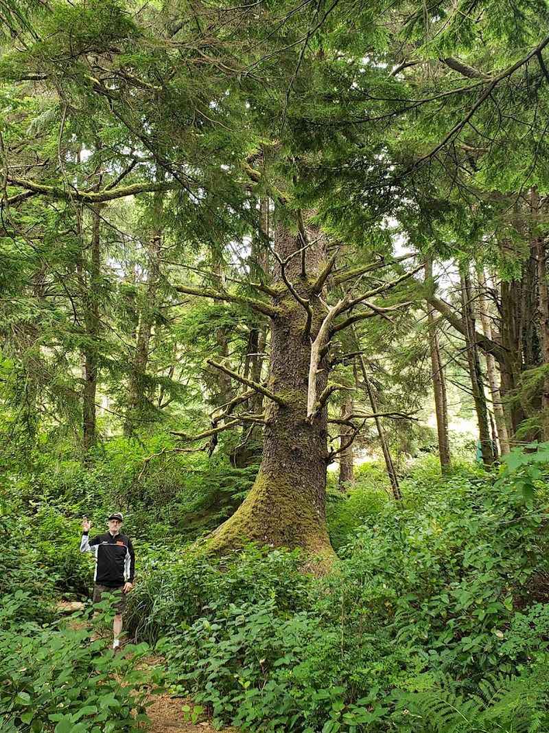 A Hidden Oasis on the Oregon Coast