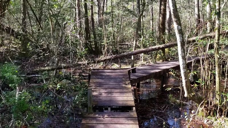 A Journey into the Mobile-Tensaw Delta
