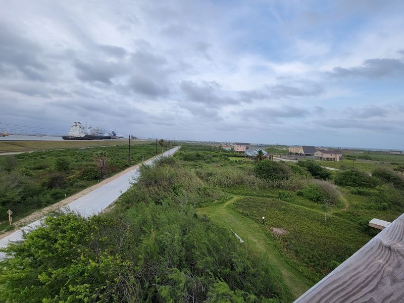 A Jungle on the Texas Coast Nobody Talks About