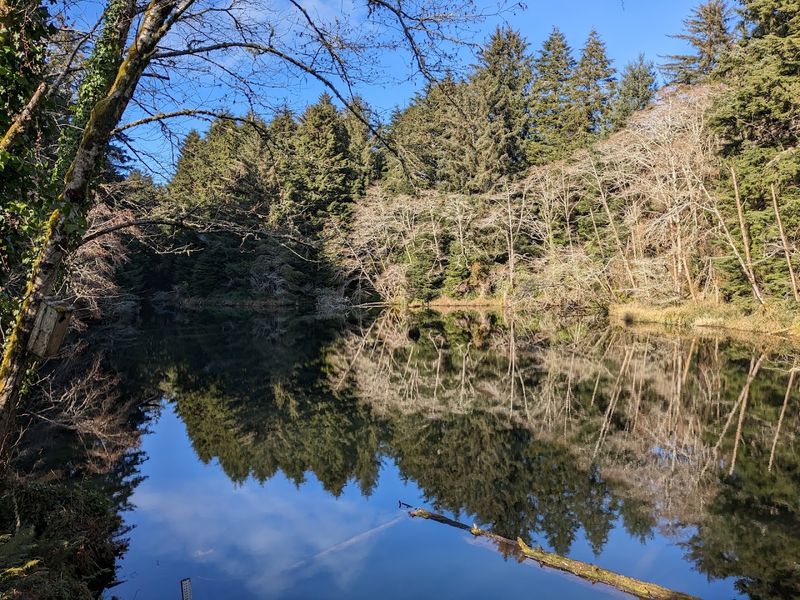 A Lake That Looks Like It Was Painted by Hand