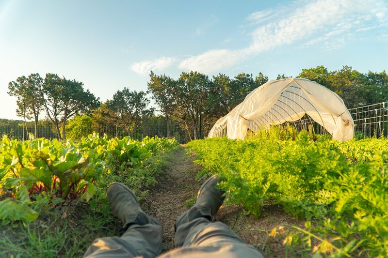 A Living Farm That Feeds Both Body and Soul A Living Farm That Feeds Both Body and Soul