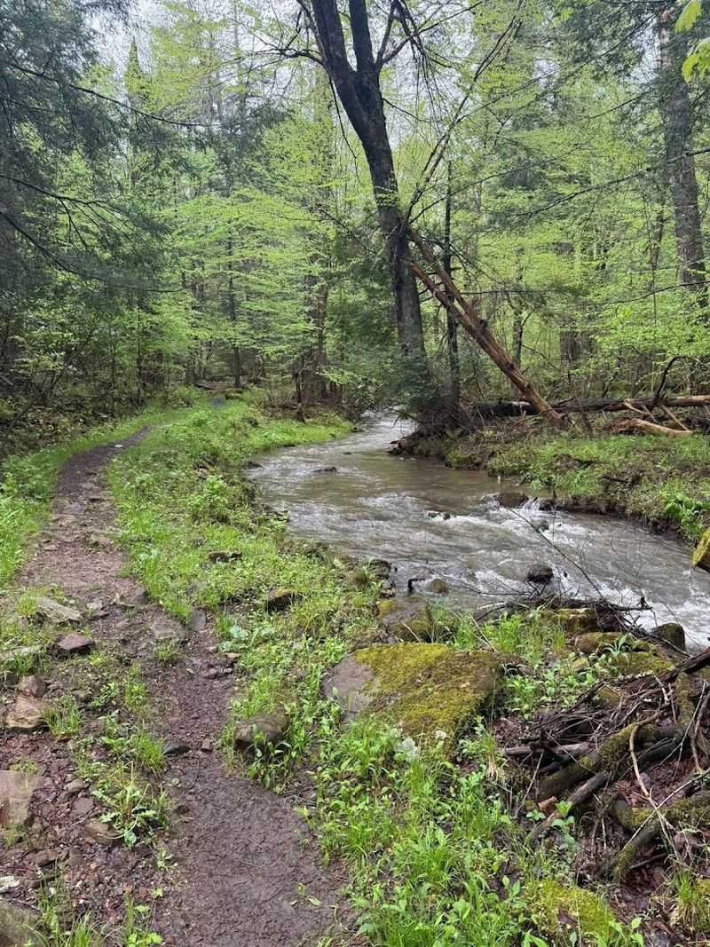 A Living Monument To Appalachian Ecology A Living Monument To Appalachian Ecology