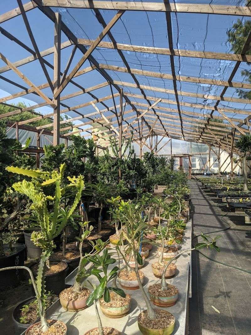 A Living Museum That Serves Botanical Gardens and Zoos