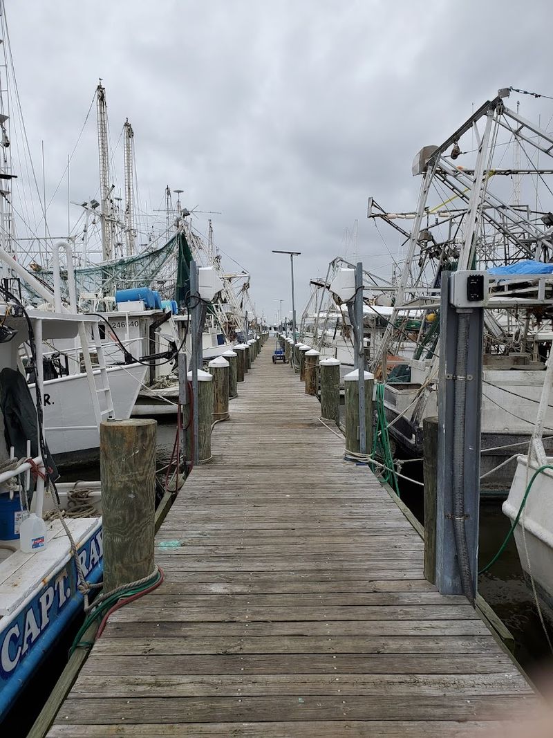 A Morning at the Docks Worth Waking Up For A Morning at the Docks Worth Waking Up For