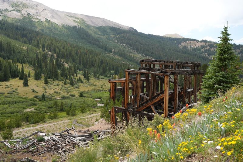 A Mountain Dream, Briefly Lived: The History of Independence Ghost Town