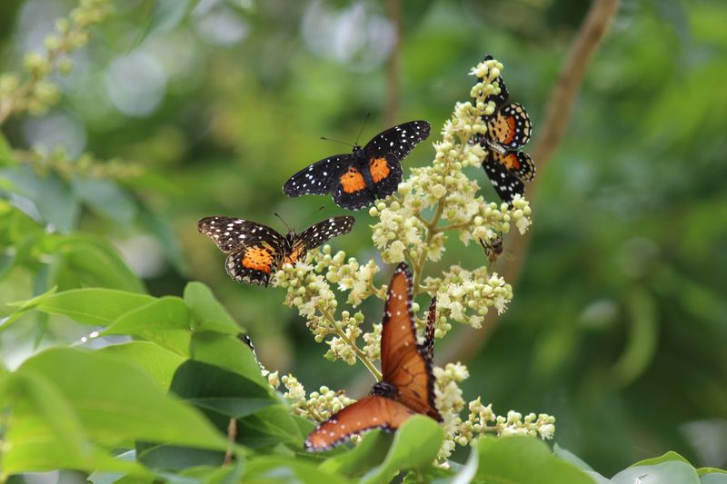 A Nature Preserve Unlike Any Other in Texas A Nature Preserve Unlike Any Other in Texas