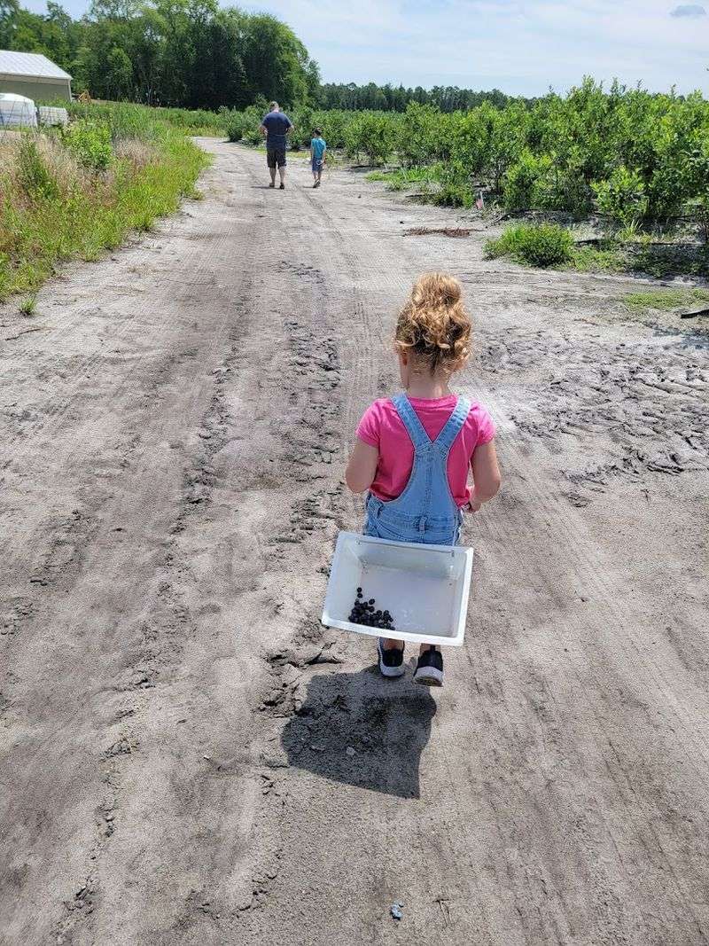A New Jersey Farm Growing Memories Since 1939