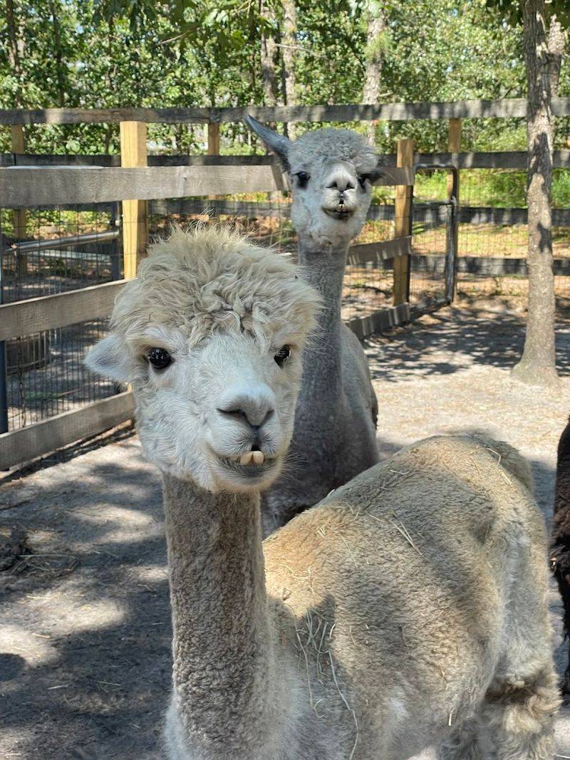 A New Jersey Hike Made for Animal Lovers A New Jersey Hike Made for Animal Lovers