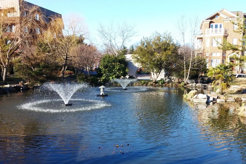 A Pace and Place Northern Virginia Simply Cannot Match