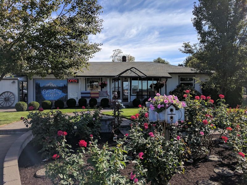 A Perfect Day Trip From Eugene or Corvallis