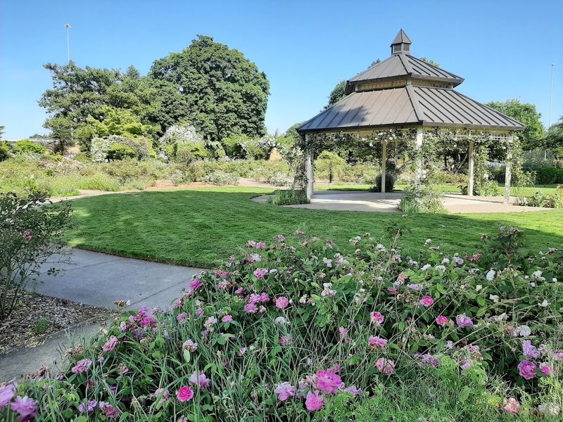 A Performance Space, Gazebo, and Picnic Areas Built Right In A Performance Space, Gazebo, and Picnic Areas Built Right In