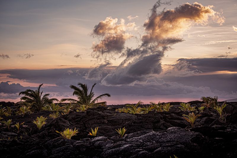 A Photographer's Dream: Light, Contrast, and Volcanic Drama A Photographer's Dream: Light, Contrast, and Volcanic Drama