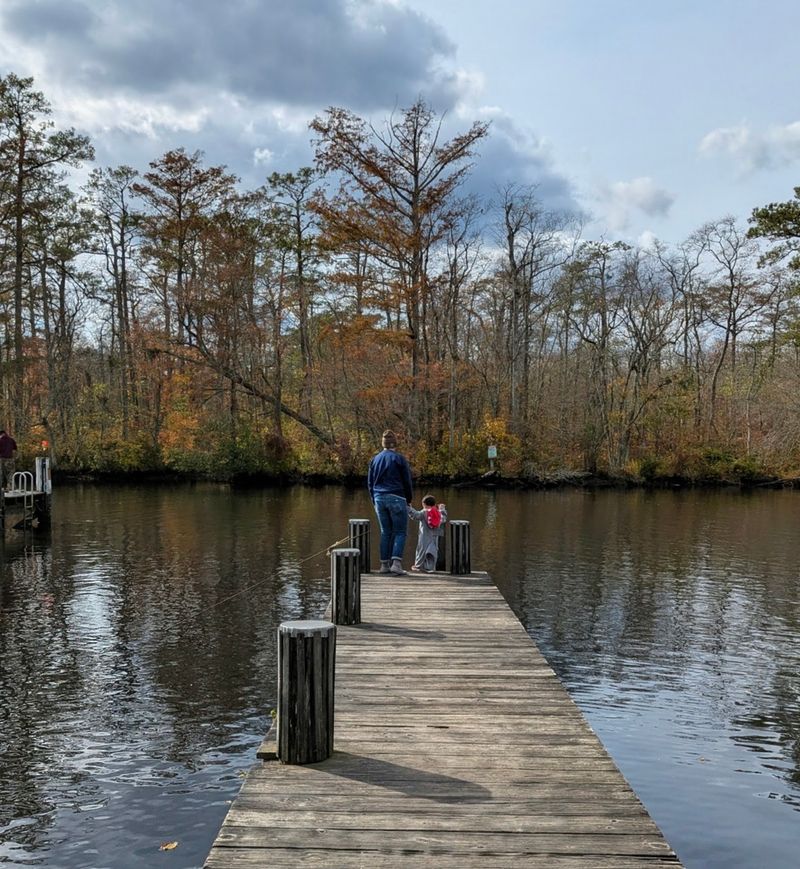 A Place That Welcomes Every Kind of Visitor A Place That Welcomes Every Kind of Visitor