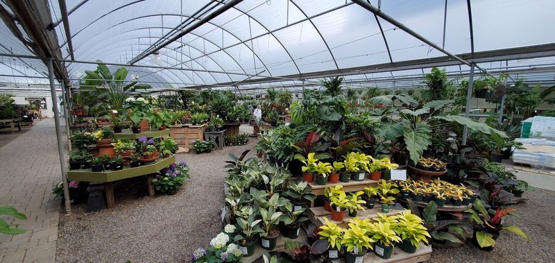 A Plant Collection That Defies Expectations
