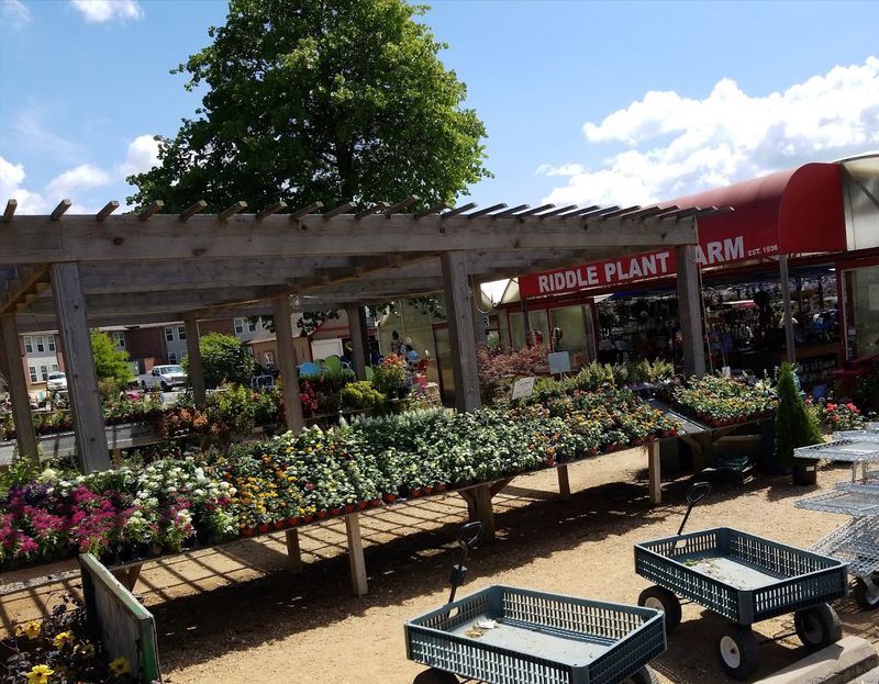 A Plant Farm With Deep Oklahoma Roots A Plant Farm With Deep Oklahoma Roots