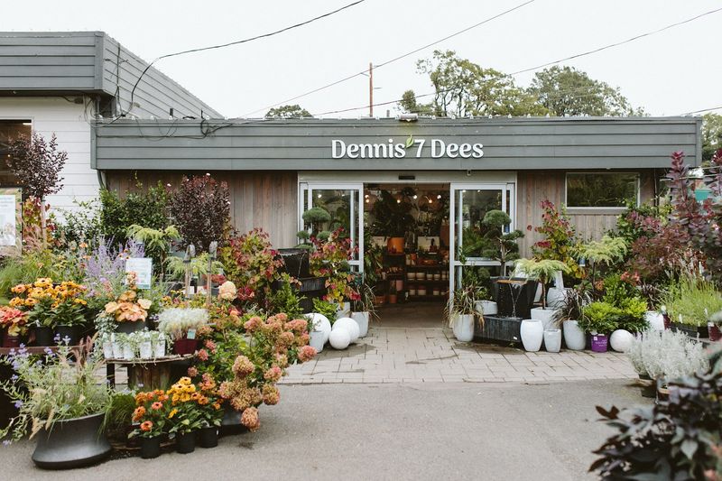 A Plant Selection That Genuinely Impresses A Plant Selection That Genuinely Impresses
