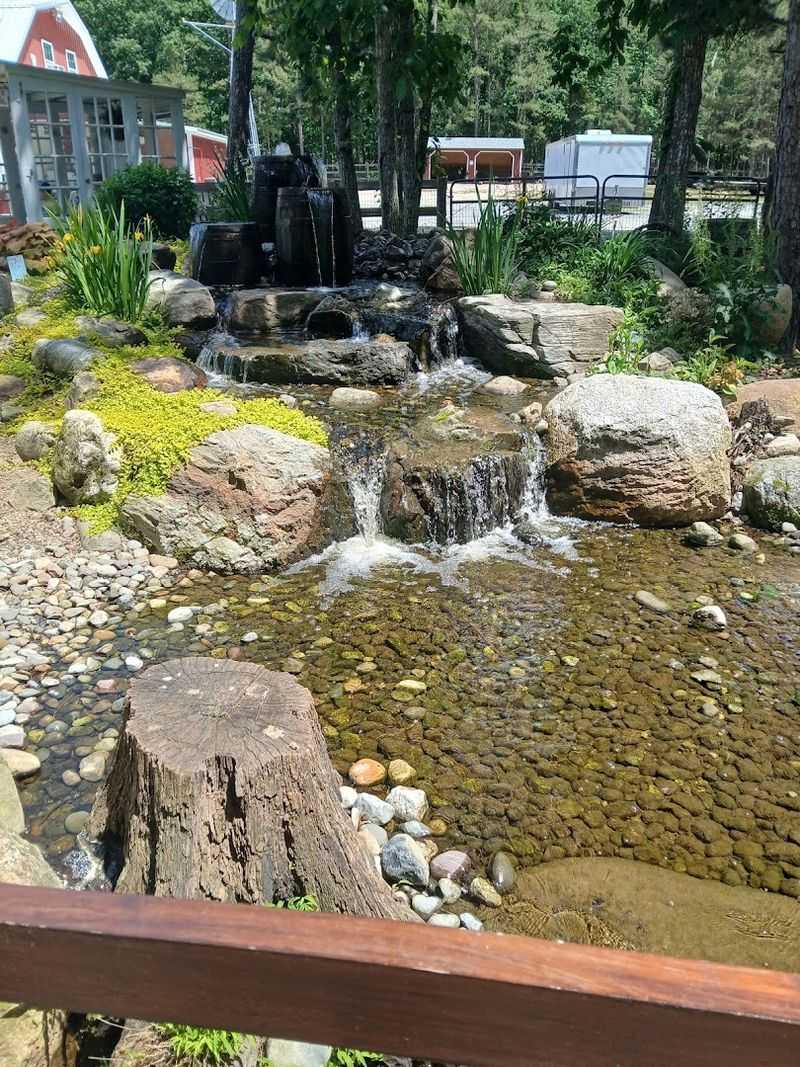 A Sanctuary Built for Healing, Not Just Shelter A Sanctuary Built for Healing, Not Just Shelter