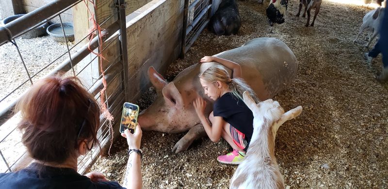 A Sanctuary Built on 25 Years of Compassion A Sanctuary Built on 25 Years of Compassion