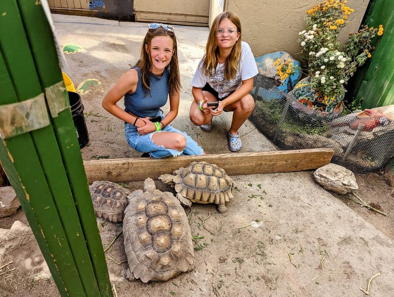 A Sanctuary Built on Rescue, Not Just Exhibition A Sanctuary Built on Rescue, Not Just Exhibition