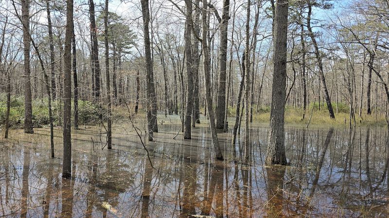 A Sanctuary Where Rain, Wildlife, and Wonder Meet