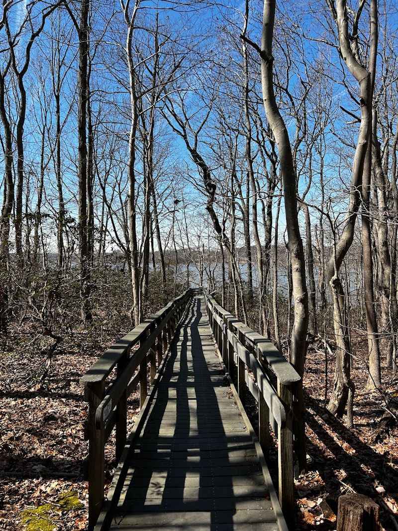 A Sanctuary for Migratory Birds A Sanctuary for Migratory Birds