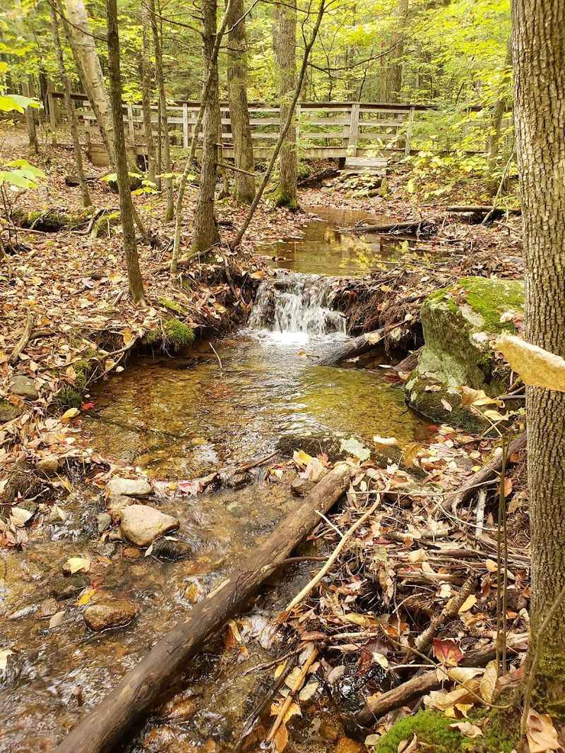 A Sawmill Once Stood Where Swimmers Now Splash