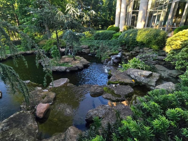 A Setting That Stops You in Your Tracks