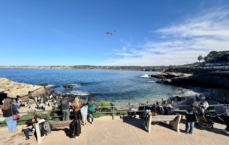 A Sheltered Sanctuary: Why the Calm Waters Make This Cove So Special