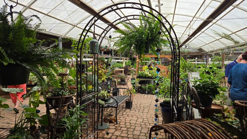 A Shopper's Paradise Beyond the Plate
