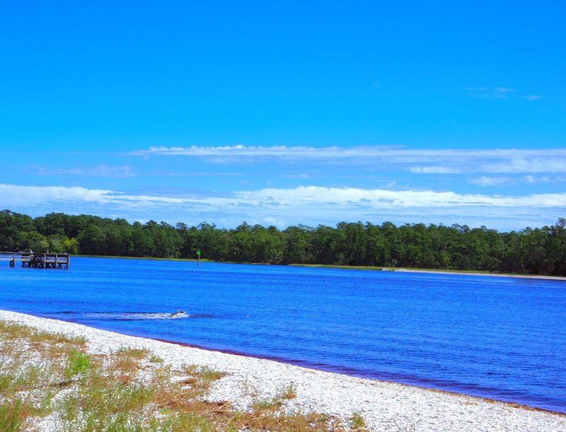 A Shoreline Lined With Oyster Shells and Quiet Views A Shoreline Lined With Oyster Shells and Quiet Views
